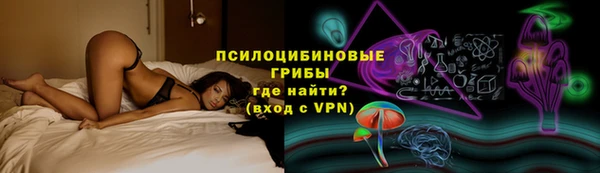 прущая мука Вяземский