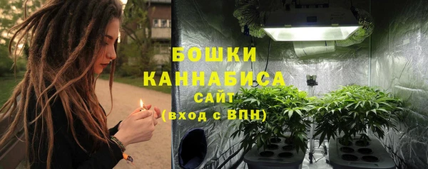 прущая мука Вяземский